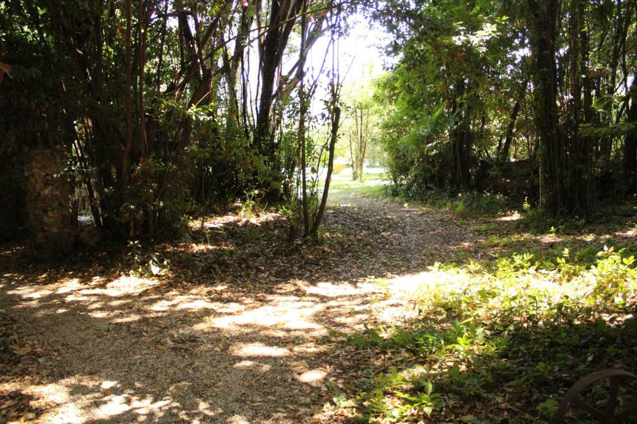 Appartamento Con Piscina Immersa Nel Verde Cascina Extérieur photo